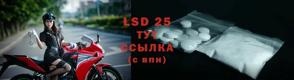 спайс Рославль