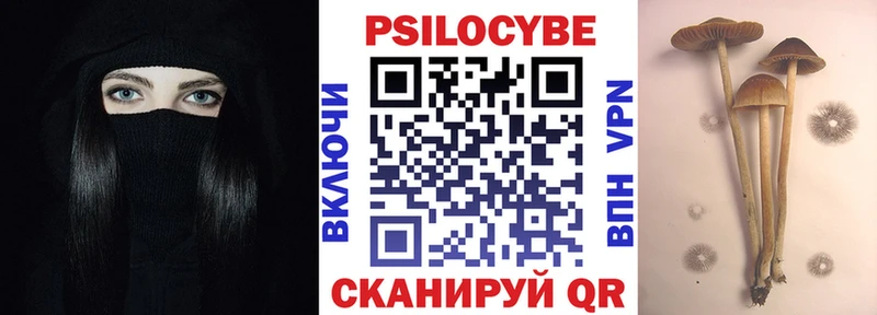 Галлюциногенные грибы прущие грибы  блэк спрут tor  Зима 