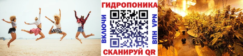Канабис Amnesia  как найти   Зима 